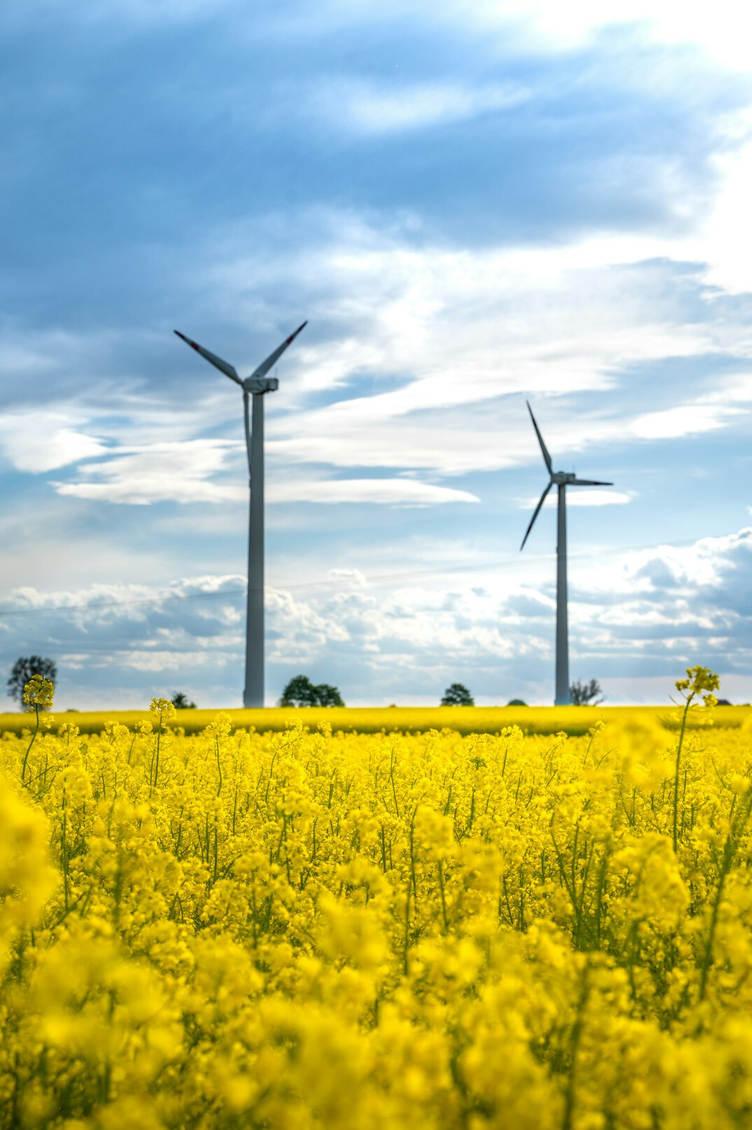 green files eco impact